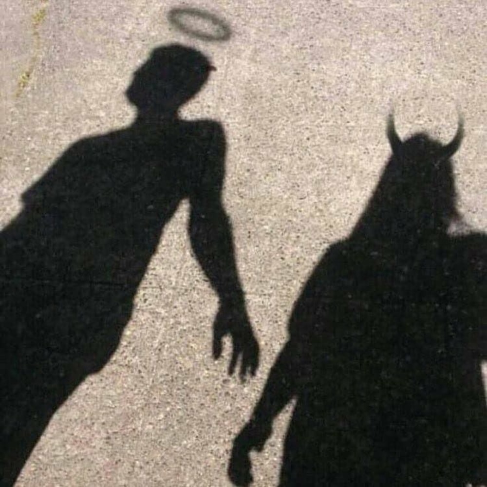 Meet your Posher, Haven